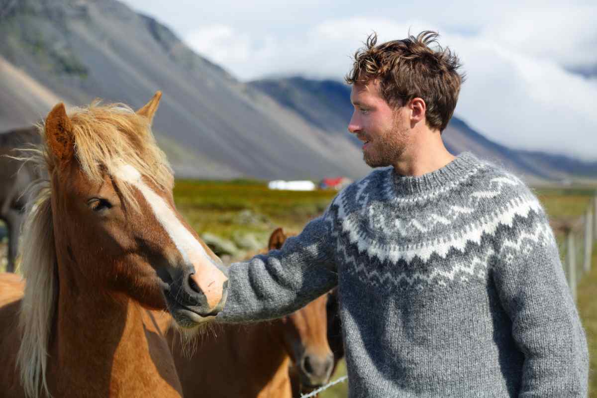 Horse riding in Iceland