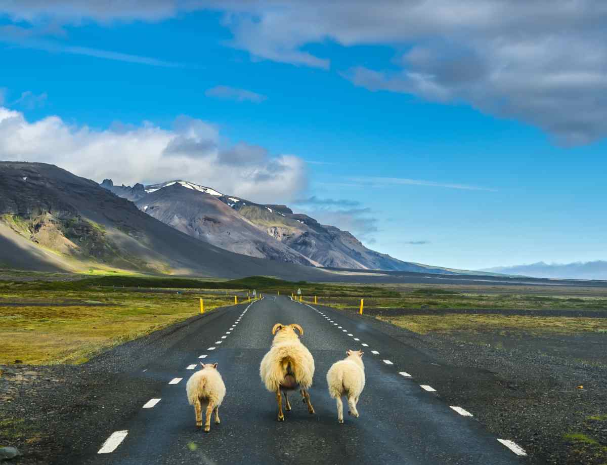 South Iceland tips