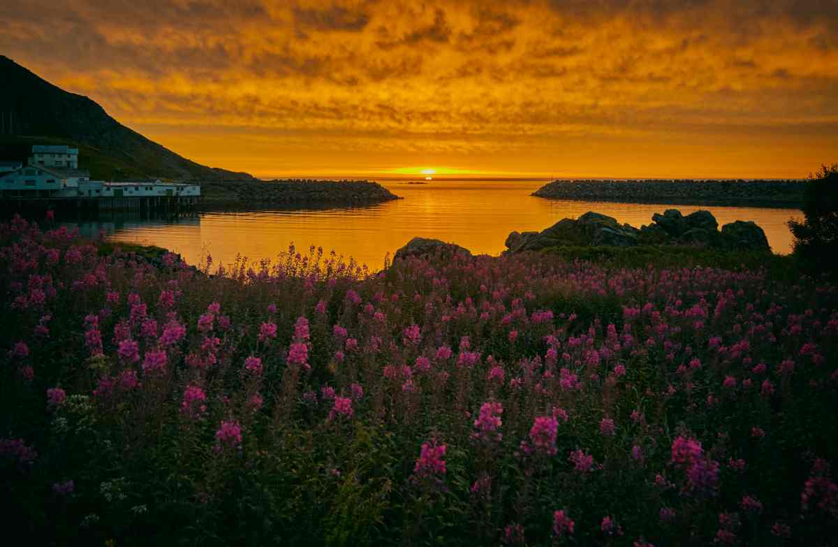 Midnight sun, Iceland