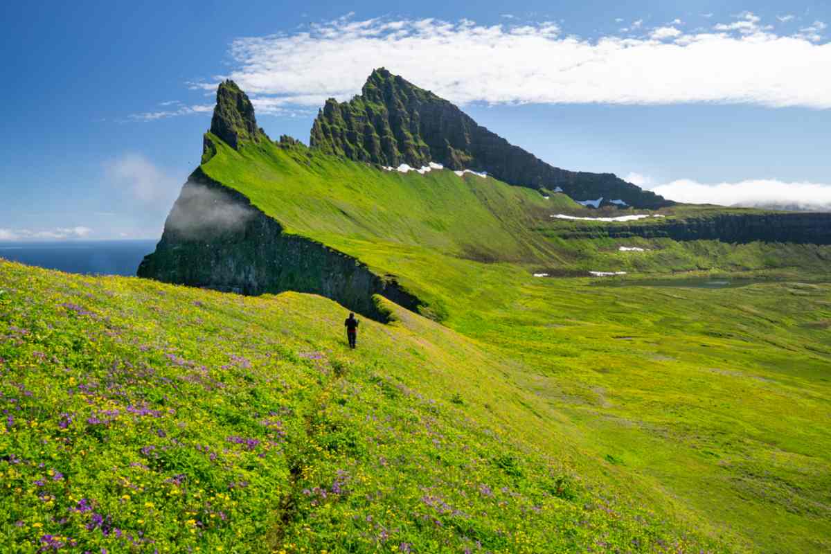 Hornstrandir, Iceland