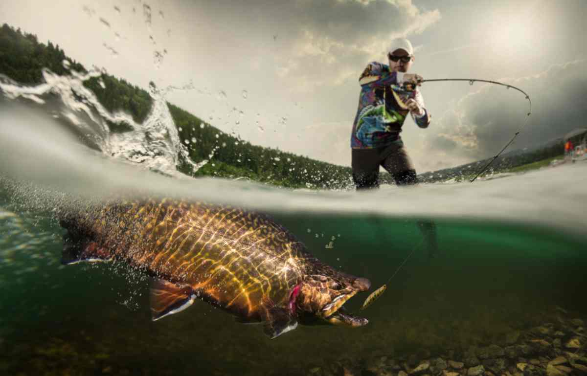 Iceland fishing