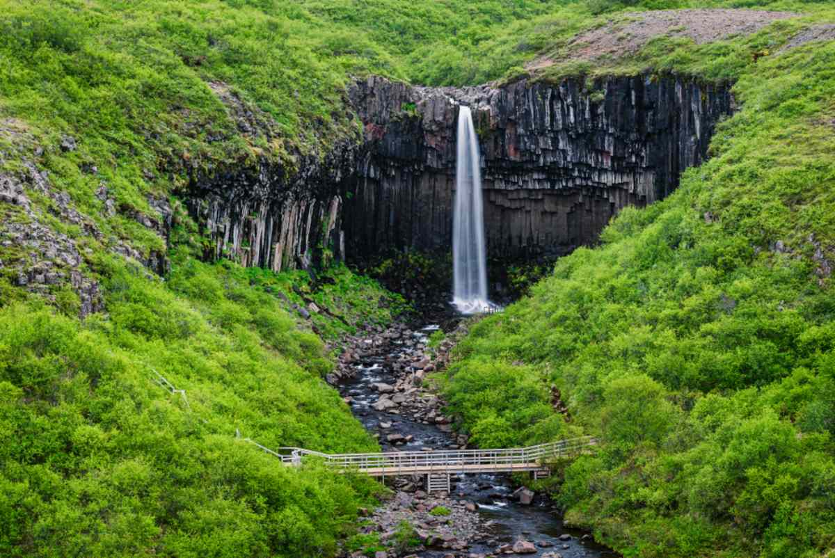 Svartifoss hike