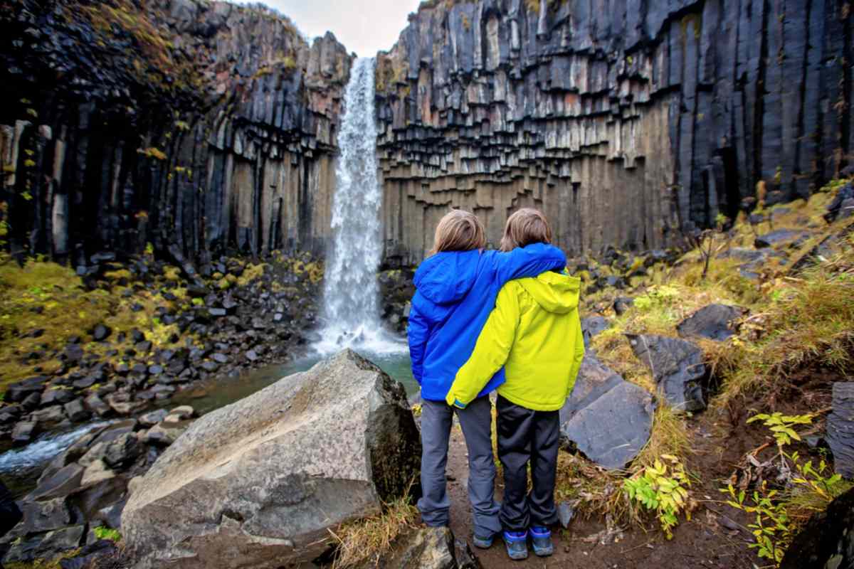 Svartifoss visit