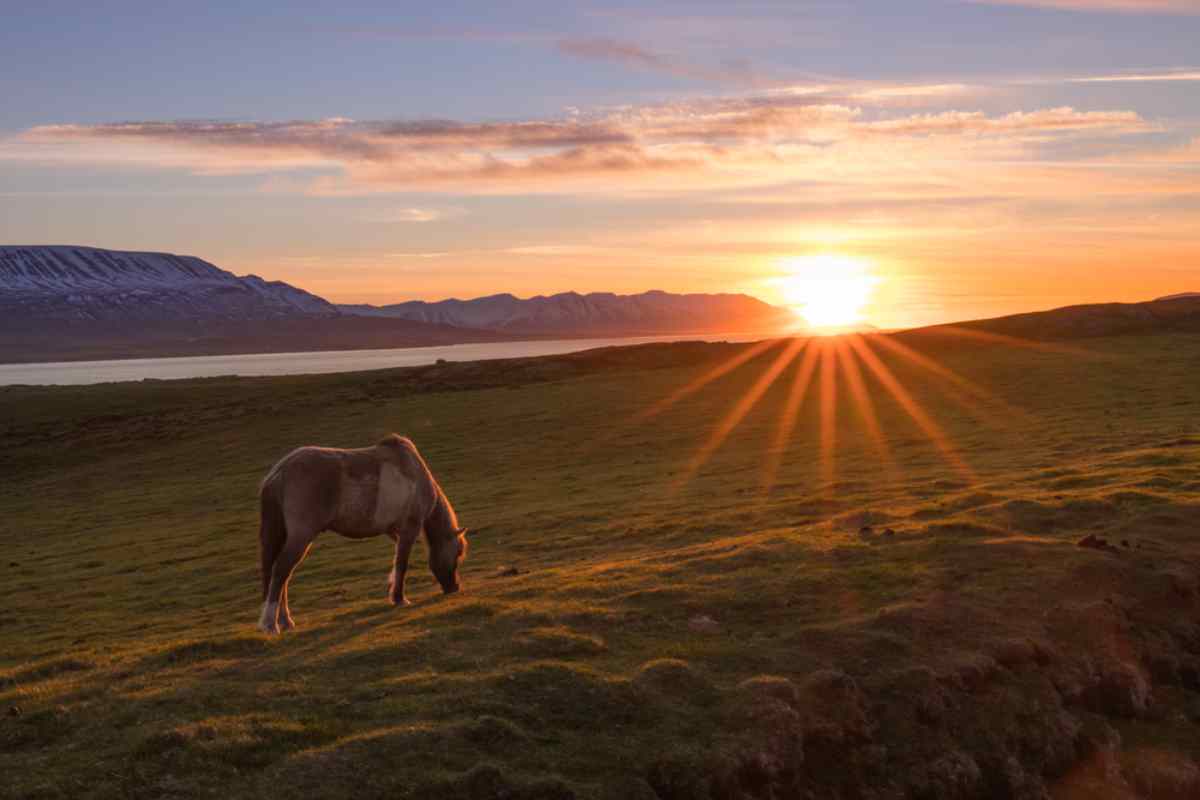 Iceland's midnight sun