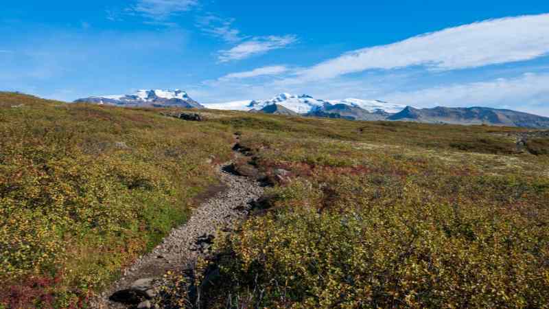 highest point in iceland