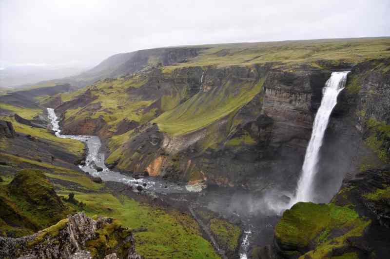 morsarfoss.