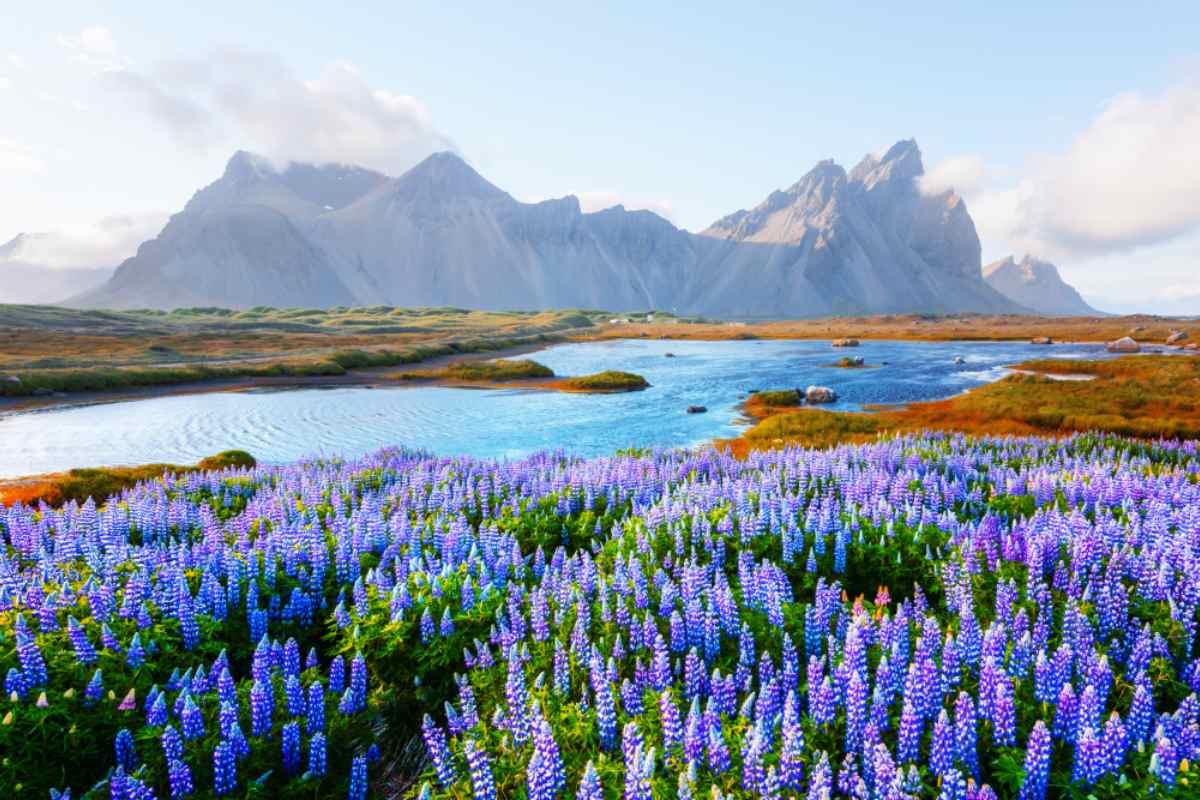 is july a good time to go to iceland