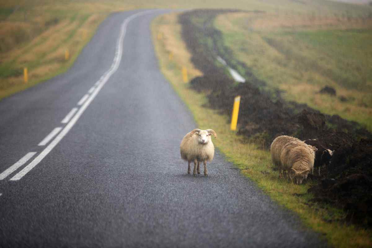 Driving in Iceland in spring