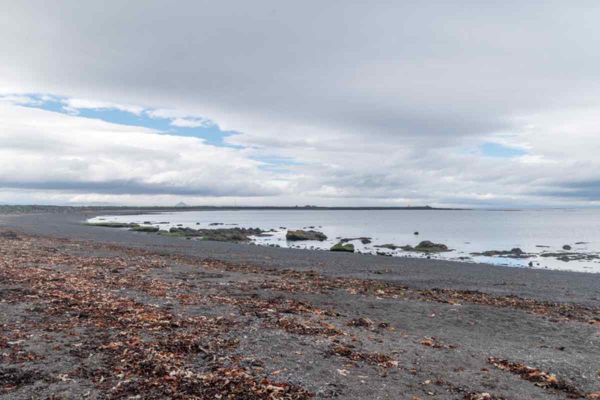 Seltjorn pond on a cloudy day
