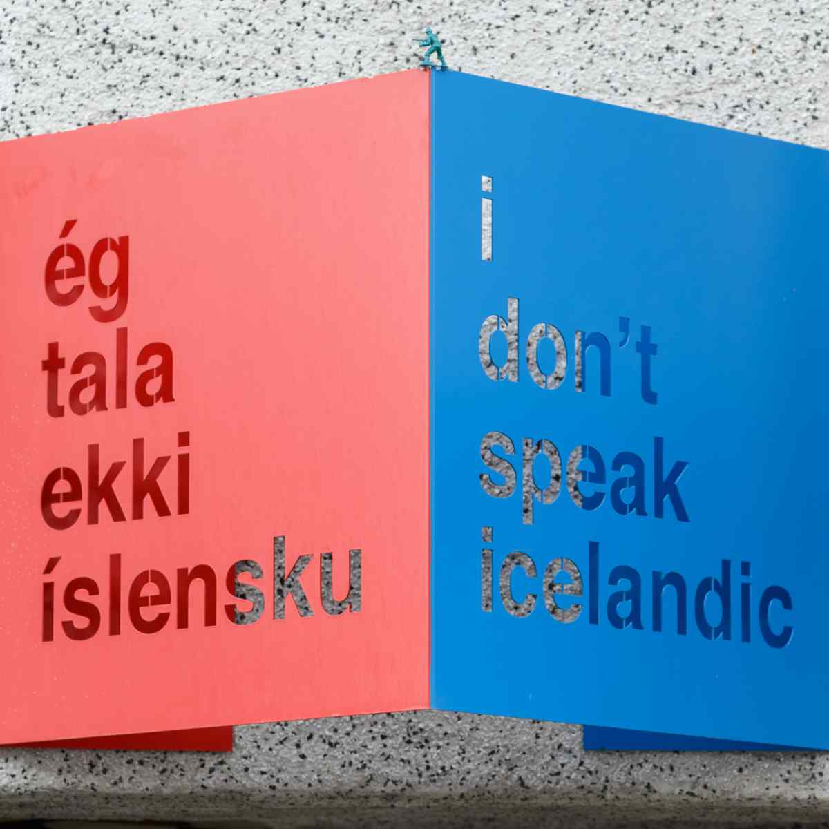 Icelandic Language