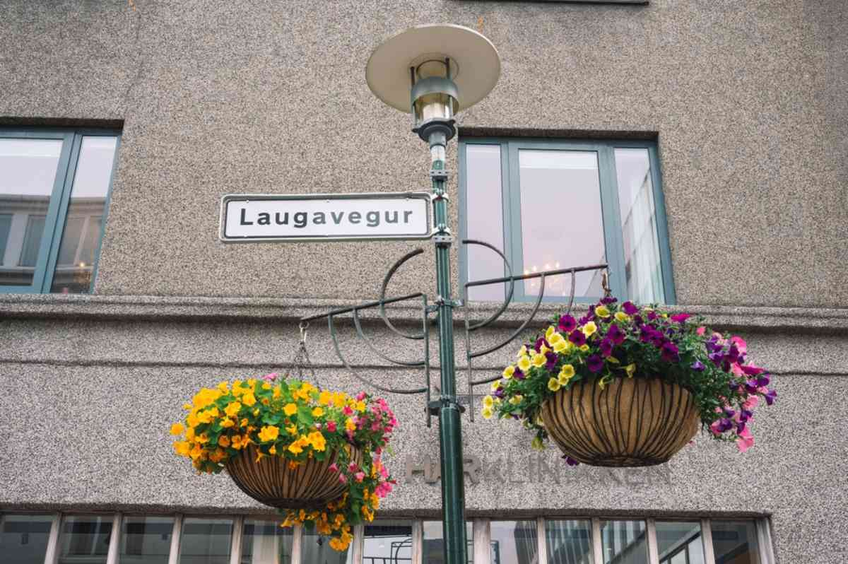 Laugavegur Street in Reykjavik Laugavegur street sign with hanging flower baskets in Reykjavík’s shopping district.