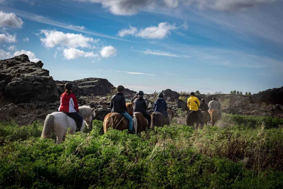 Iceland horseback riding