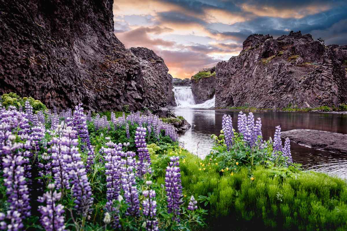 Spring in Iceland
