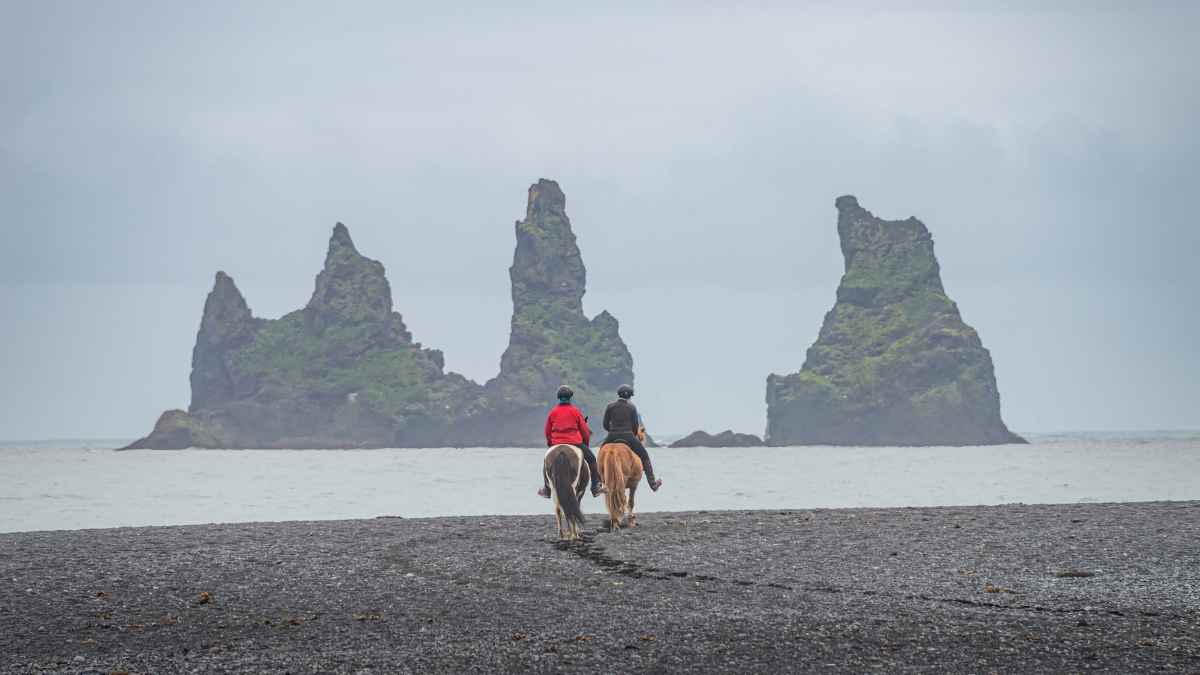 horseback riding black sand beach Iceland