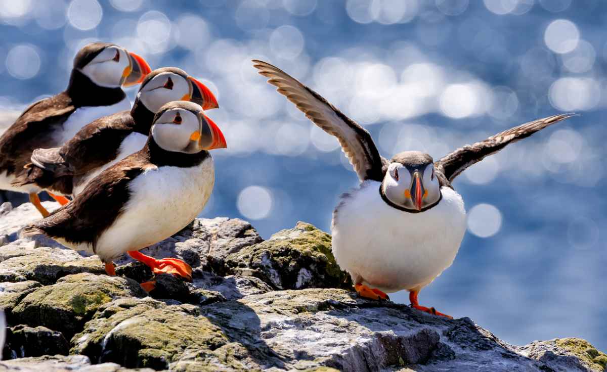 Top facts about Iceland