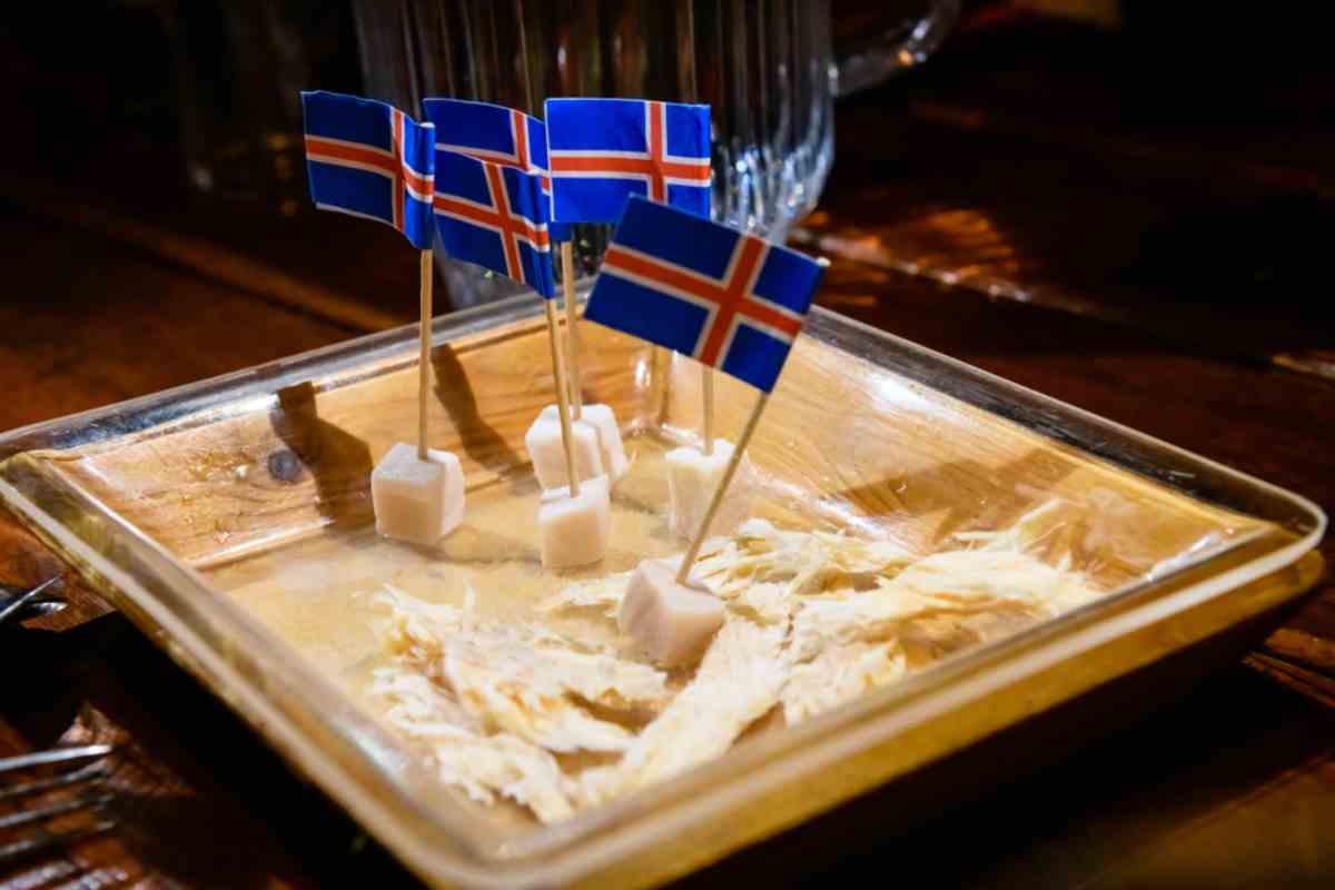 Weird Icelandic food: Shark