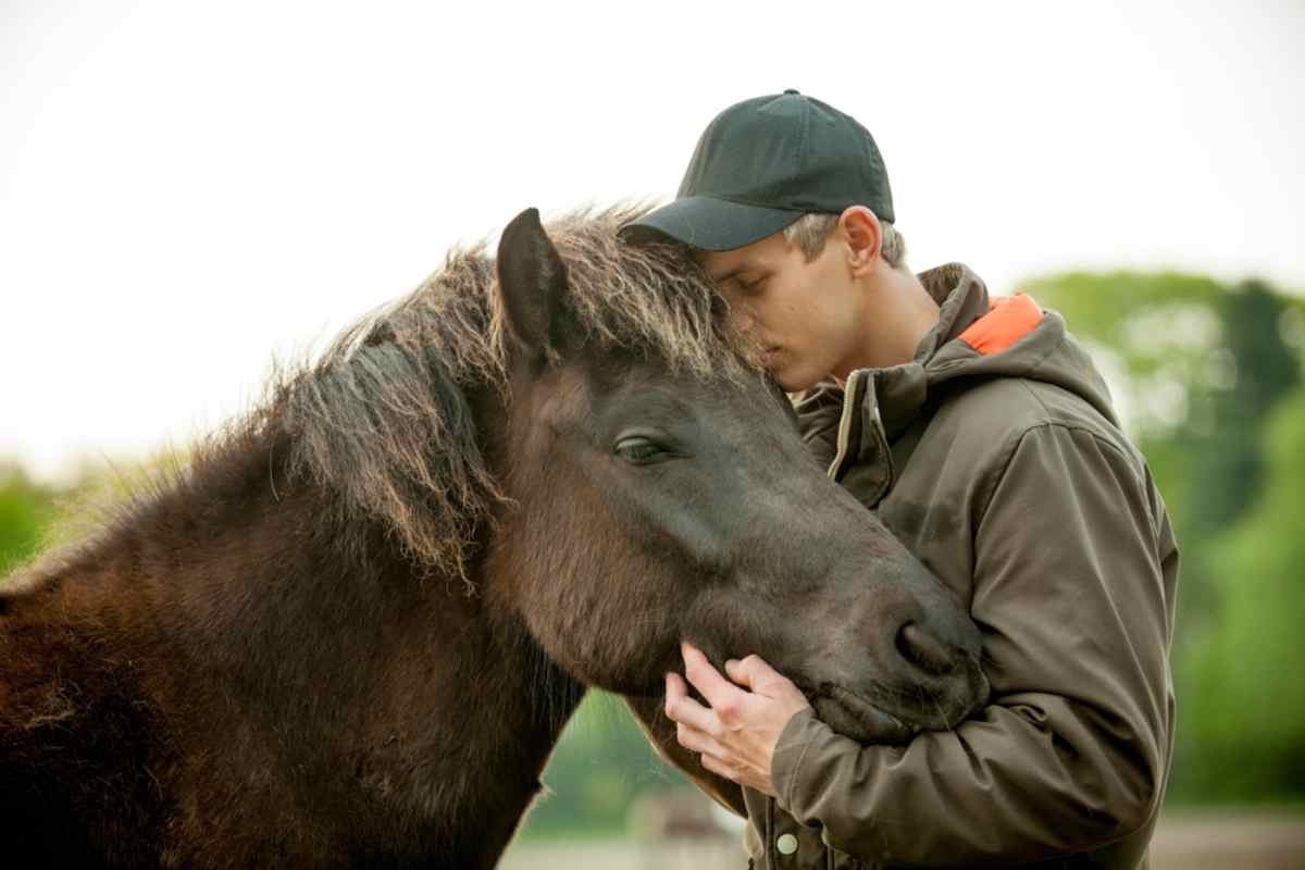 Tourist petting an Icelandic horse
