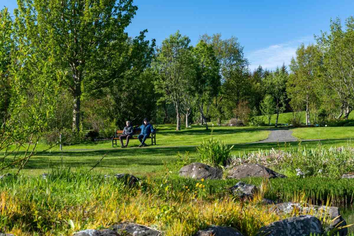 Reykjavik Botanical Garden on a sunny day, with visitors relaxing on a bench beside green lawns and native trees.