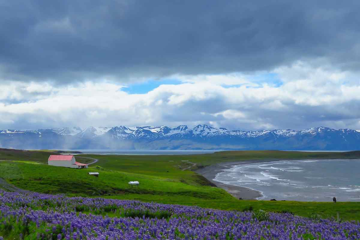 Tjornes peninsula